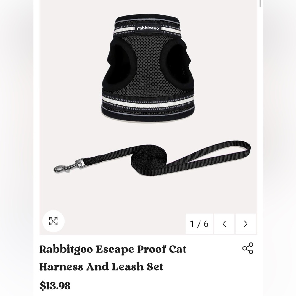 Rabbitgoo Black Cat Escape-Free Harness and Leash Set